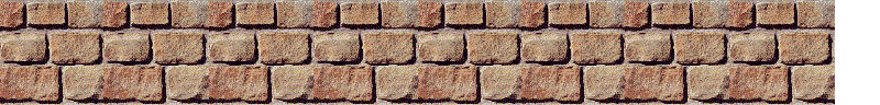 bricks